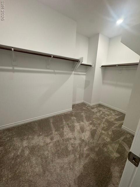 600 North Carriage Hill Drive 1021 Las Vegas NV 89138