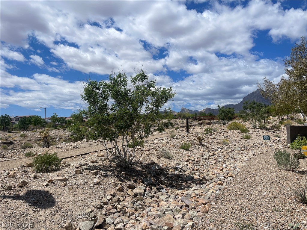 11593 Cedar Shore Avenue Las Vegas NV 89138