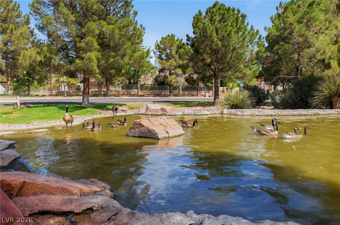9725 Cascade Falls Avenue Las Vegas NV 89117