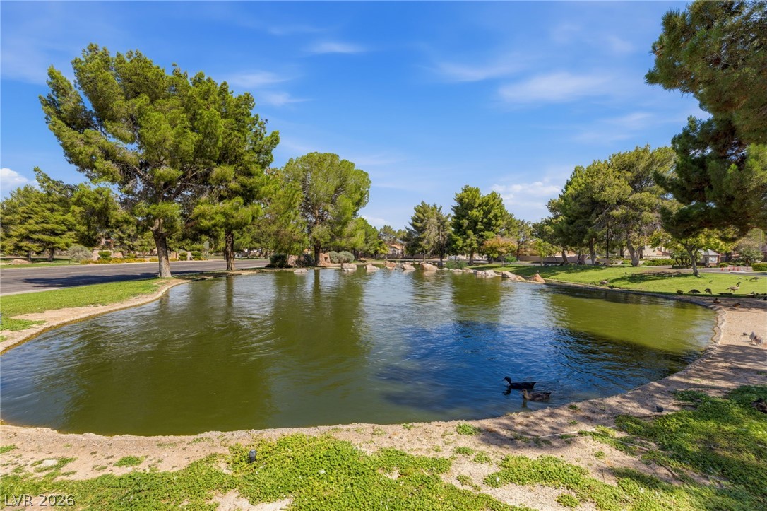 9725 Cascade Falls Avenue Las Vegas NV 89117