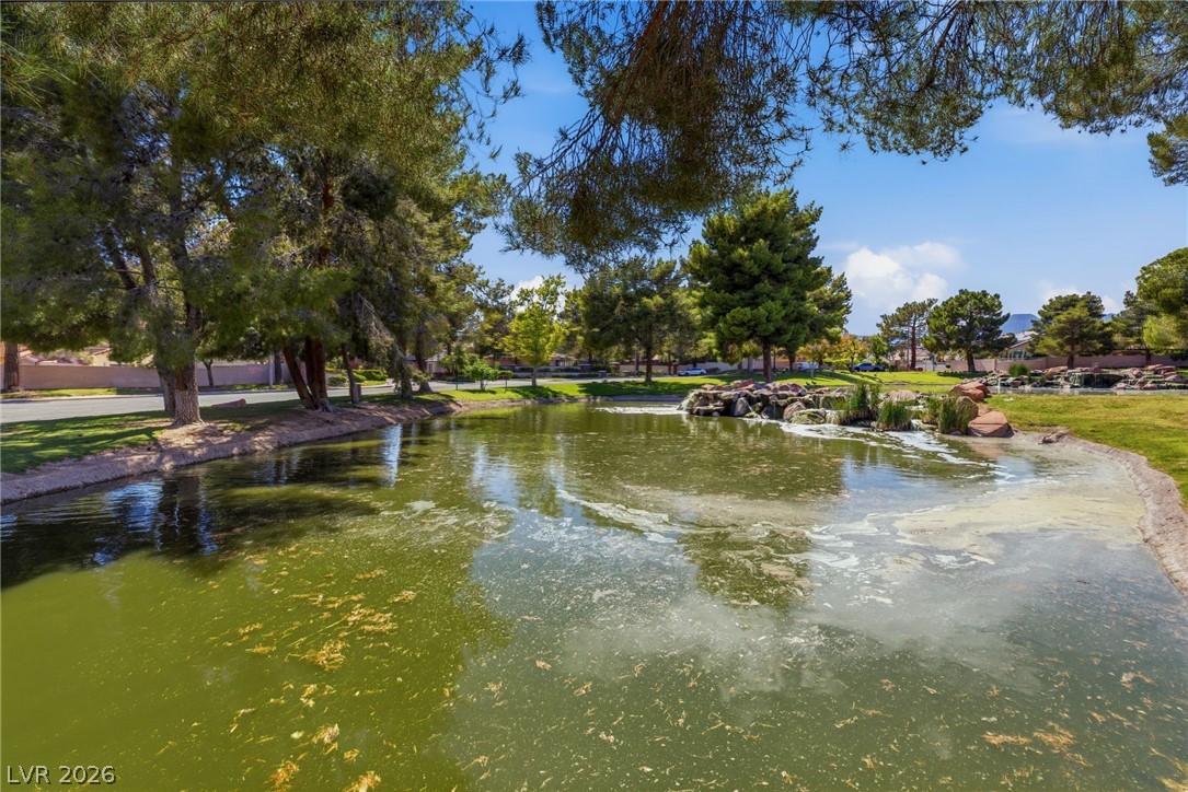 9725 Cascade Falls Avenue Las Vegas NV 89117