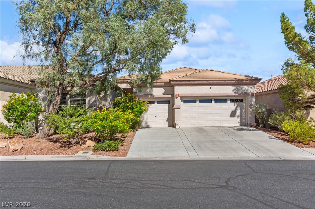 3290 Squire Street Las Vegas NV 89135