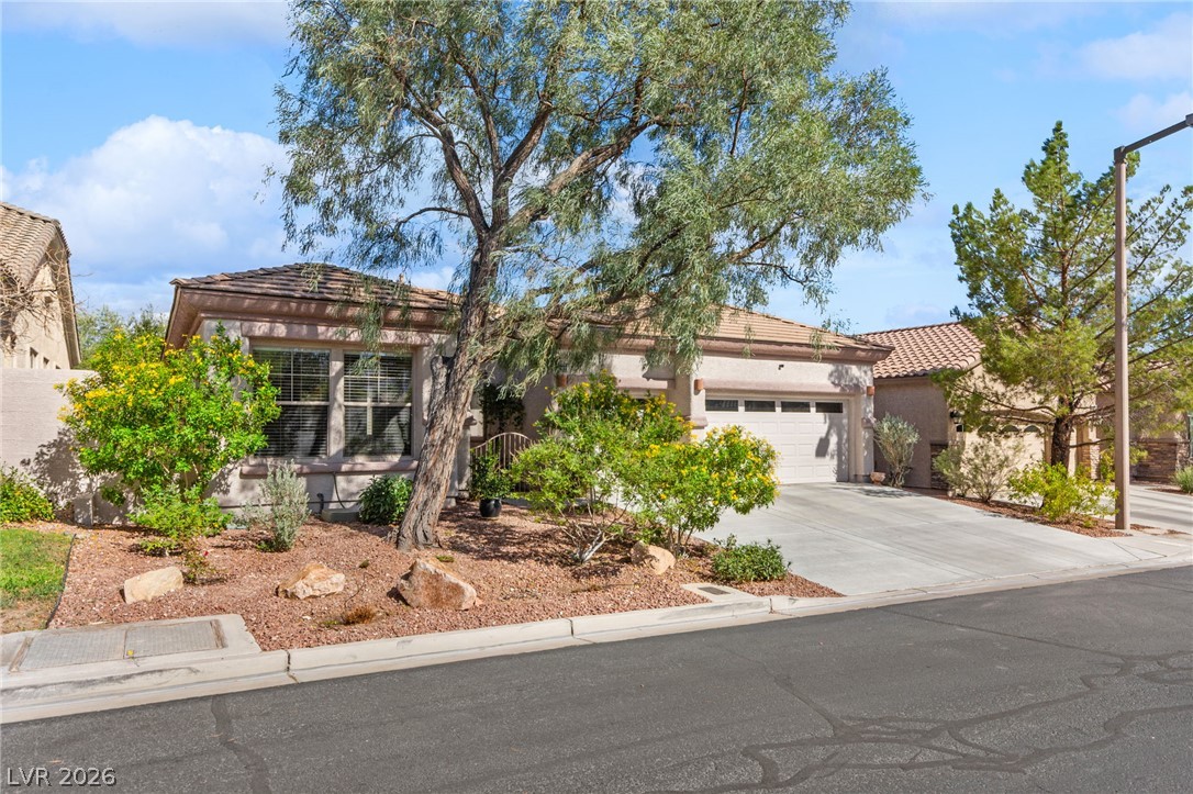 3290 Squire Street Las Vegas NV 89135