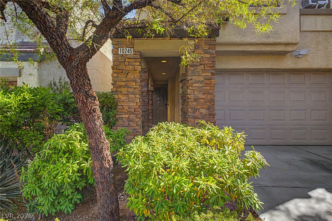 10245 Headrick Drive Las Vegas NV 89166