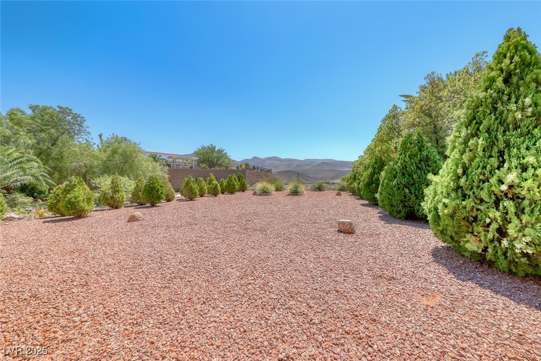 2321 Whites Ferry Court Henderson NV 89044