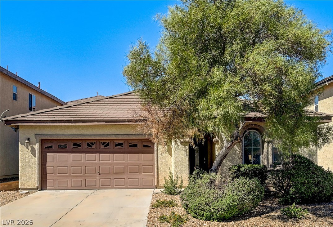 1133 Denman Valley Street Henderson NV 89002