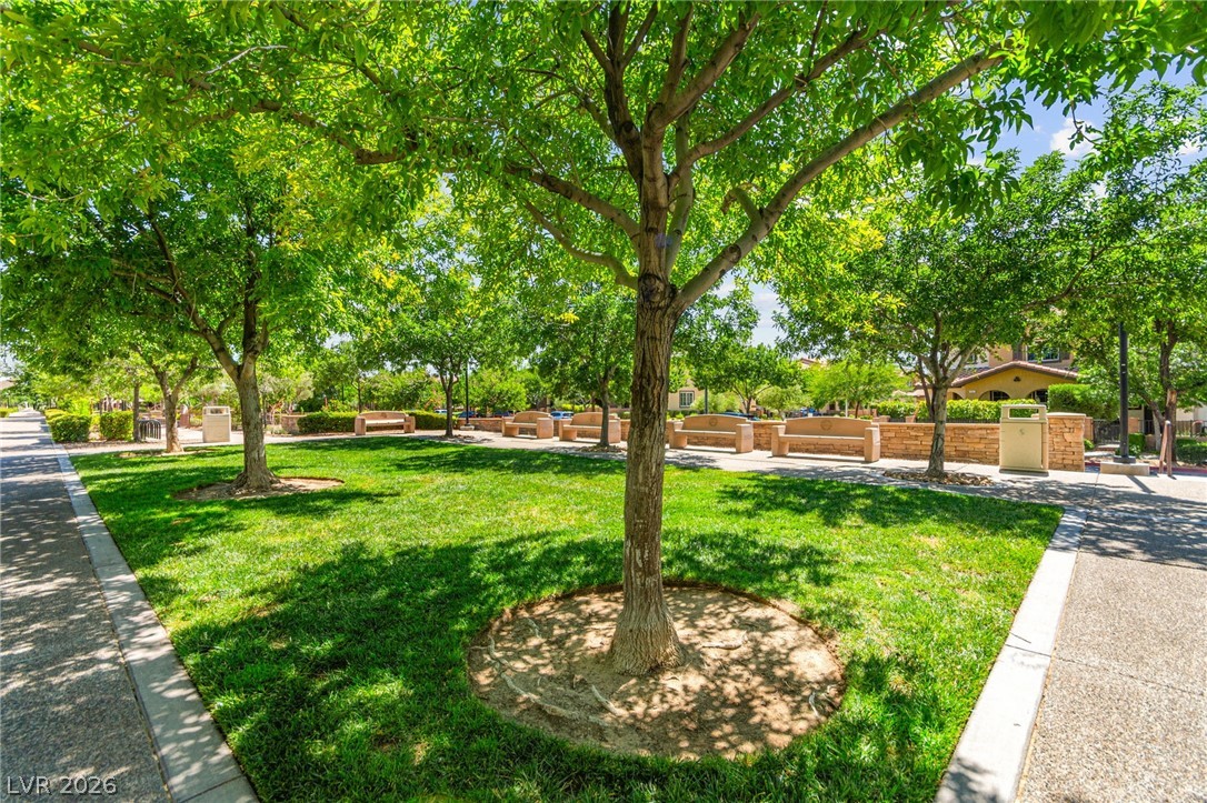 2538 Catallo Street Henderson NV 89044