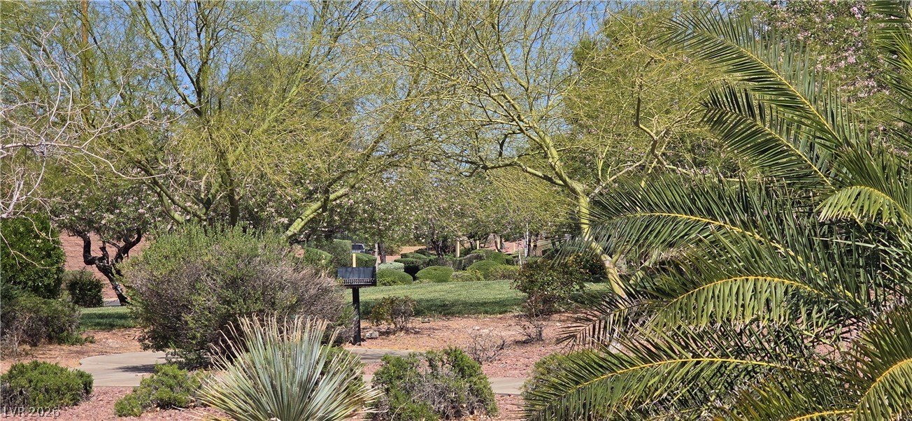 67 Desert Coyote Street Henderson NV 89012