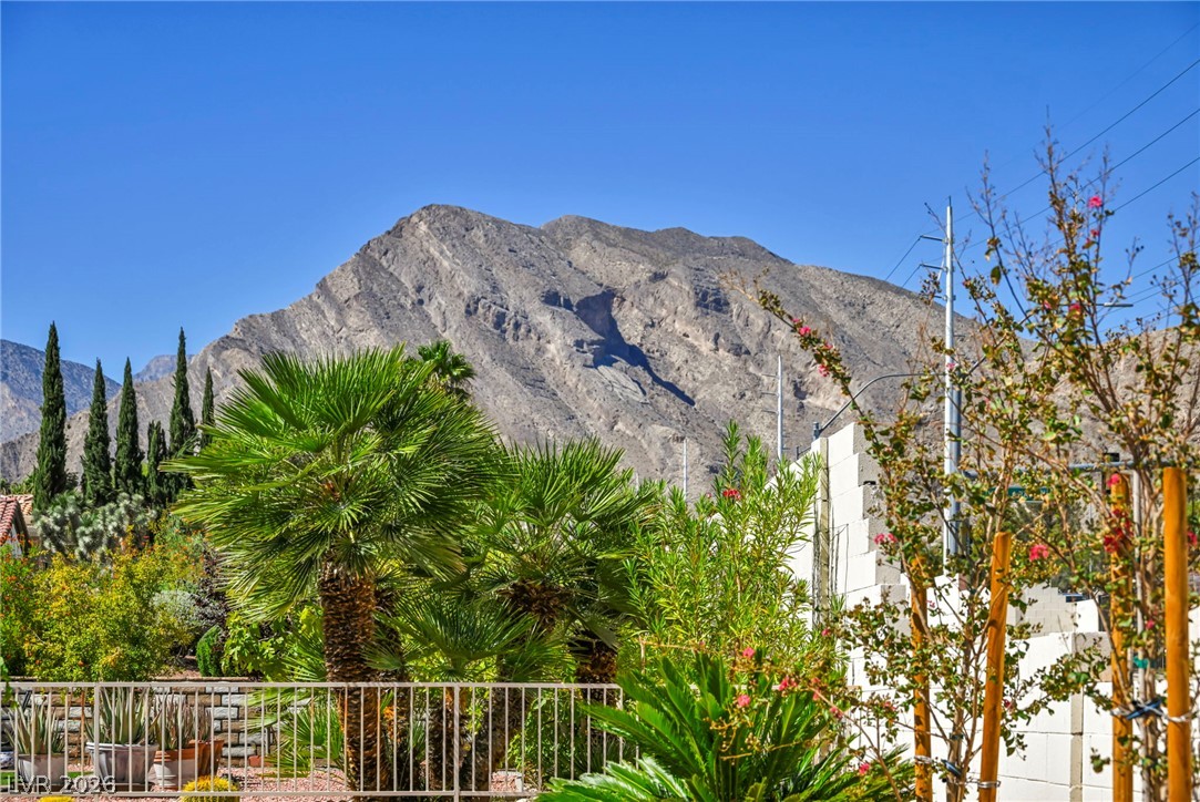 10020 Villa Ridge Drive Las Vegas NV 89134