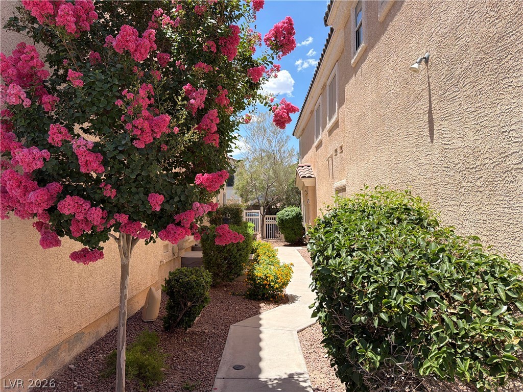 2559 Velez Valley Way Henderson NV 89002