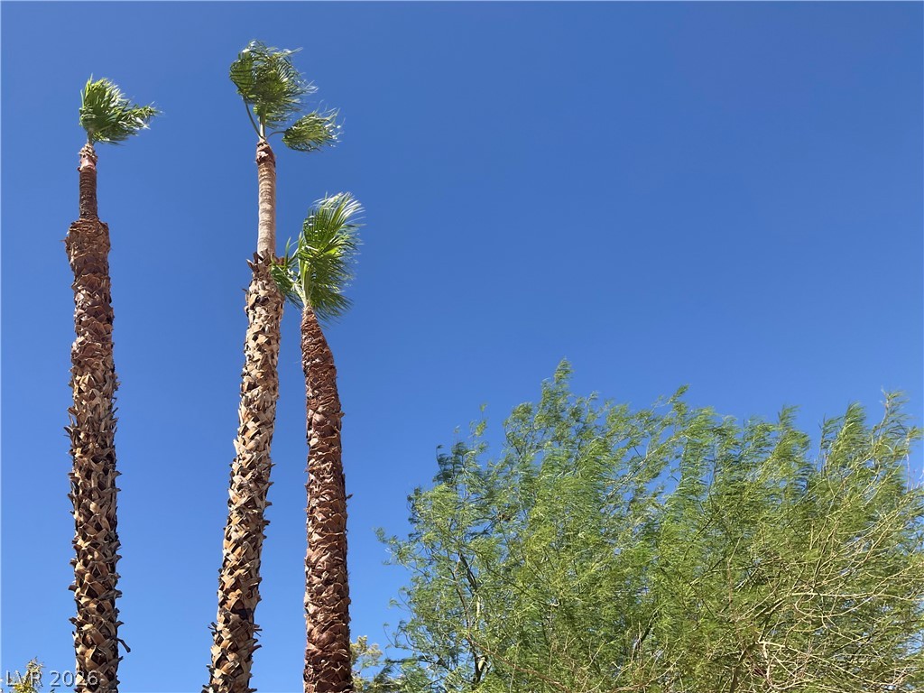 417 Cherry Meadows Court Las Vegas NV 89145