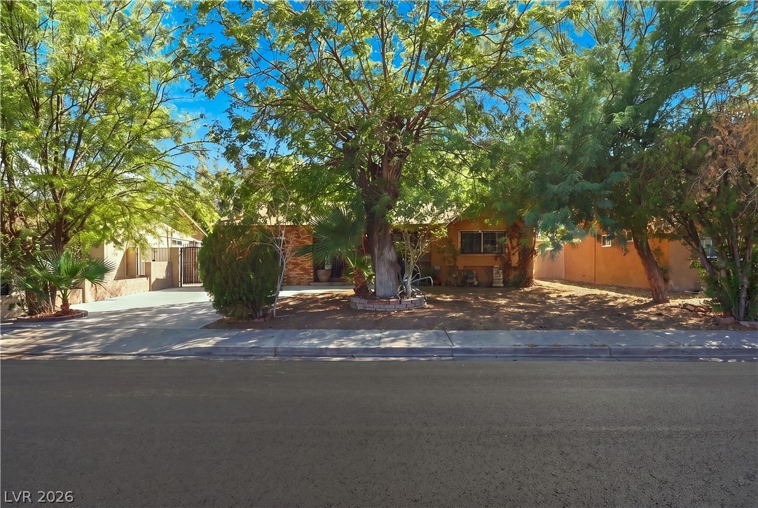 2828 Willoughby Avenue Las Vegas NV 89101