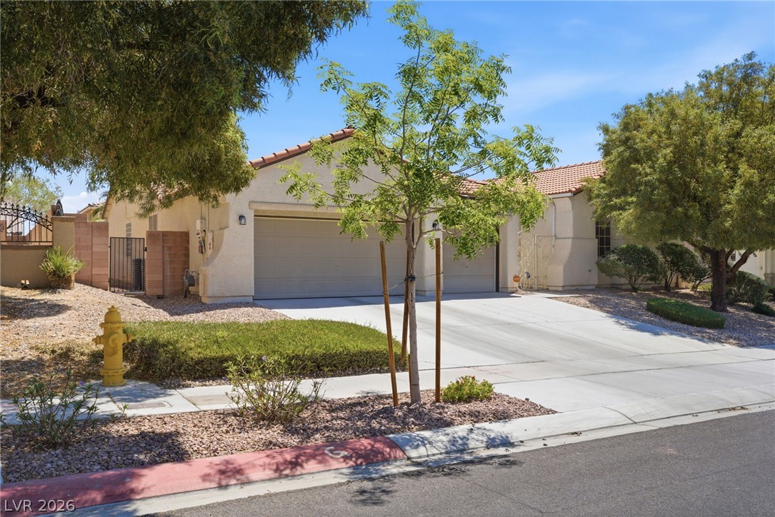 6524 Black Oaks Street North Las Vegas NV 89084
