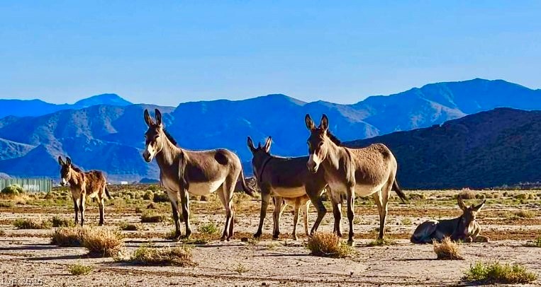 1541 West Big Oak Lane Pahrump NV 89060