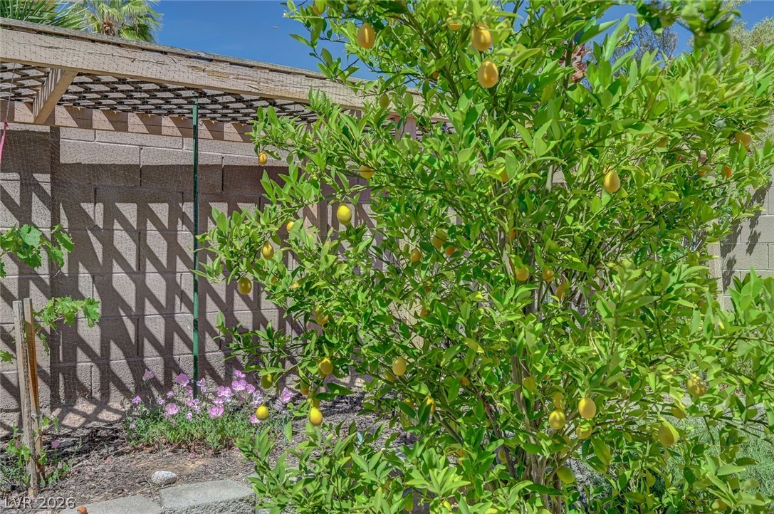 8738 Vista Cantera Court Las Vegas NV 89147