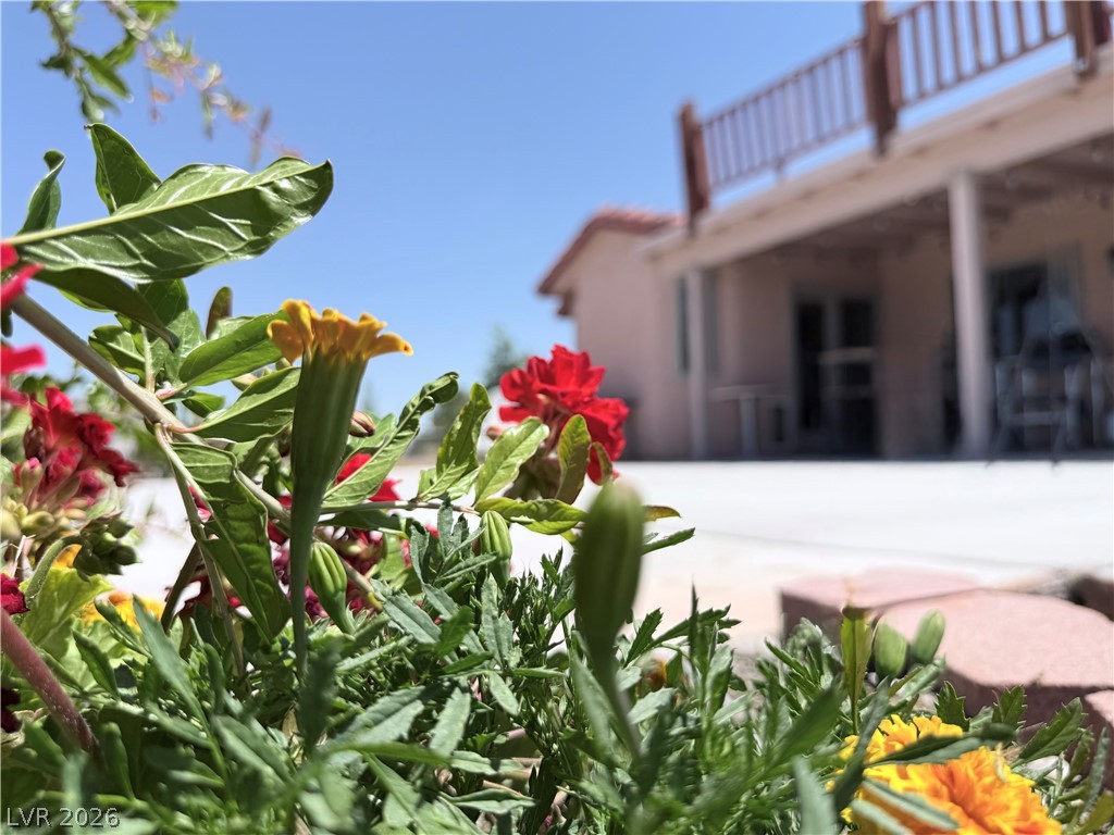 1220 Gamebird Road Pahrump NV 89048