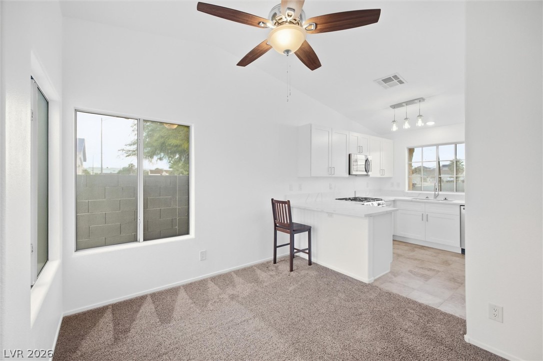 2441 Saguaro Point Street Las Vegas NV 89115