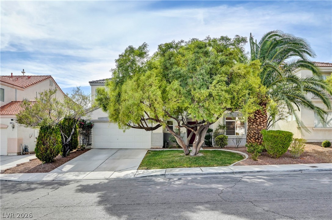 5925 Willis Street North Las Vegas NV 89031