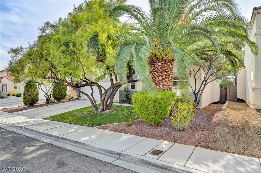 5925 Willis Street North Las Vegas NV 89031