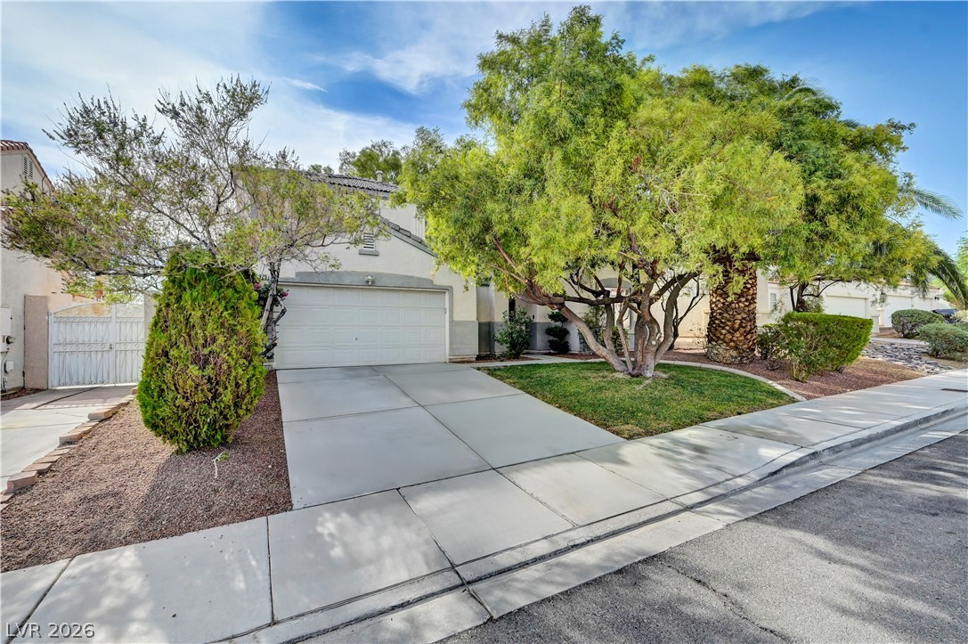 5925 Willis Street North Las Vegas NV 89031