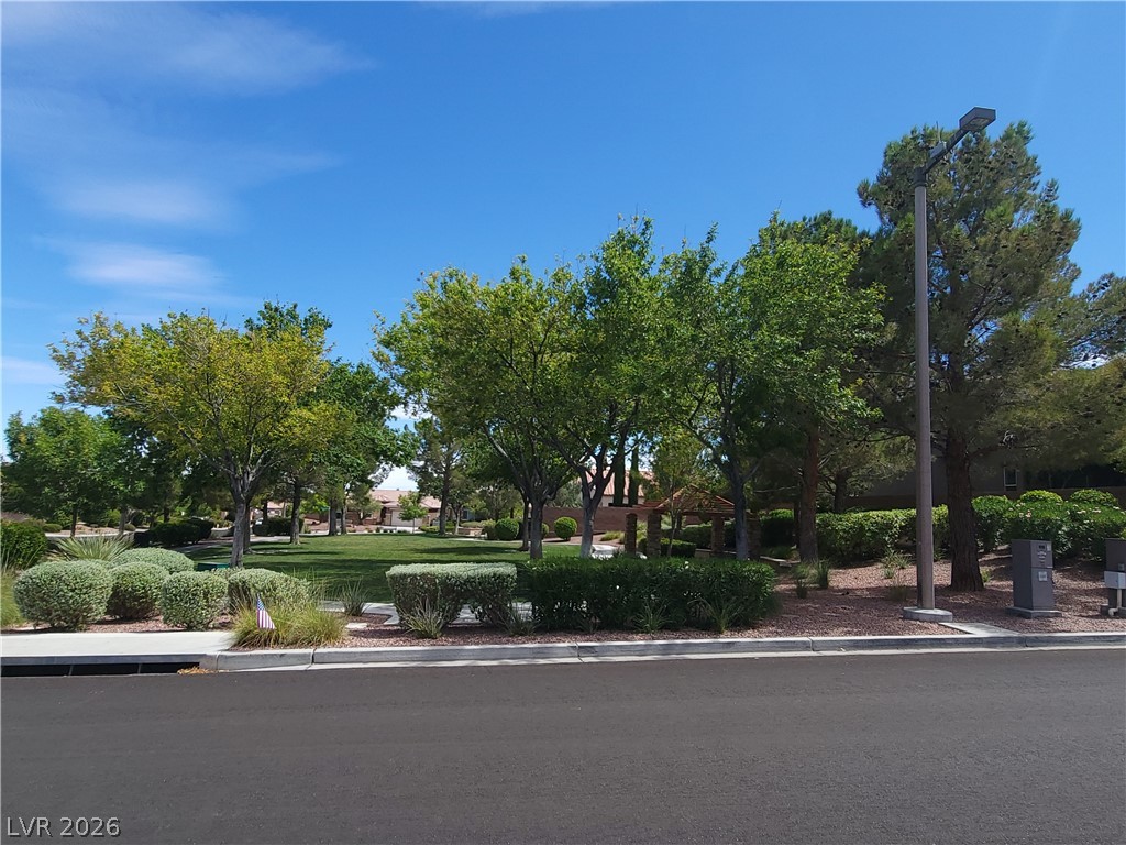 11341 Via Spiga Drive Las Vegas NV 89138
