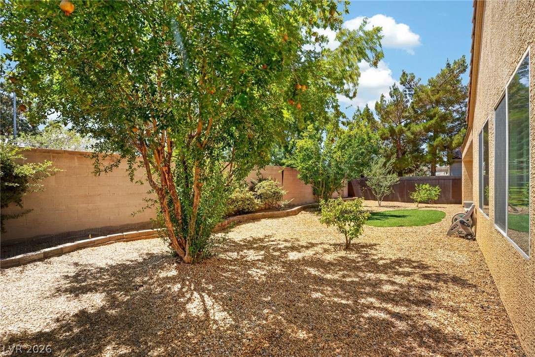 2517 Black River Falls Drive Henderson NV 89044
