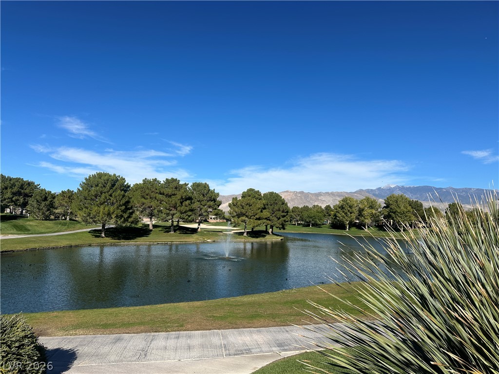4347 La Romita Street Pahrump NV 89061