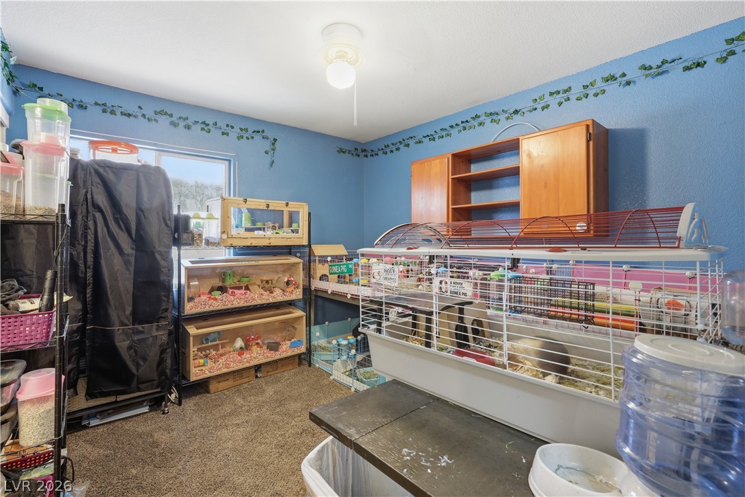 2730 Meadow Spring Court Las Vegas NV 89156