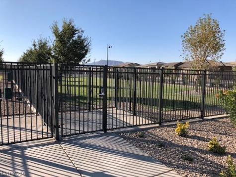 346 Torrelli Falls Avenue Henderson NV 89011
