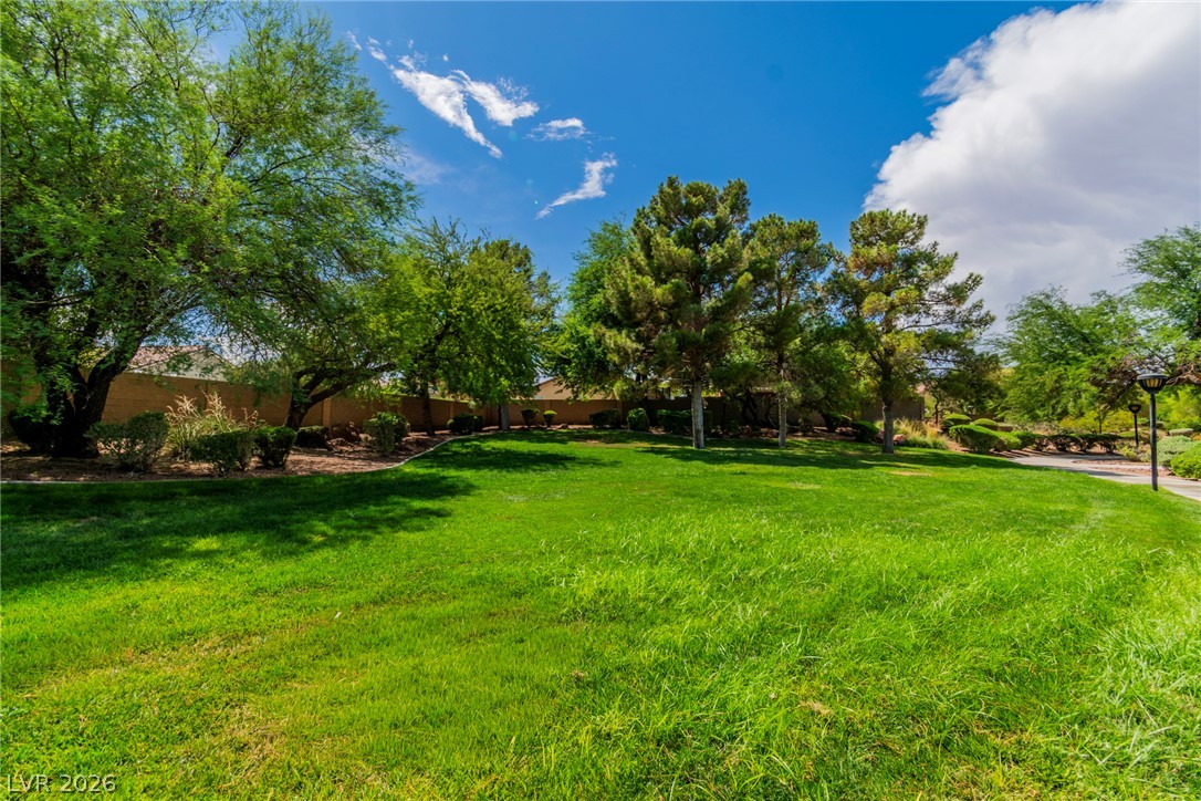 3417 Conterra Park Avenue North Las Vegas NV 89081