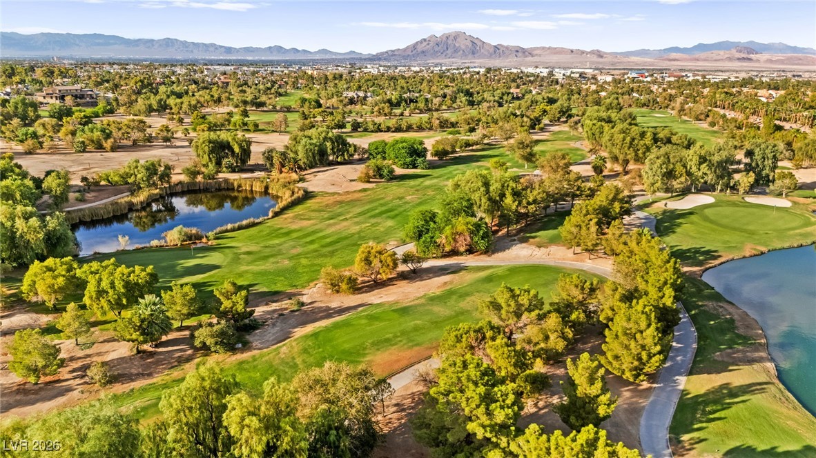 409 Indigo Springs Street Henderson NV 89014