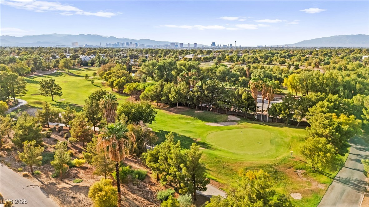 409 Indigo Springs Street Henderson NV 89014