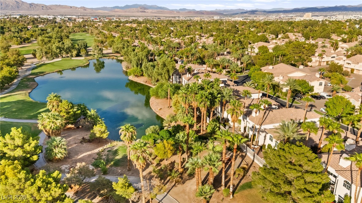 409 Indigo Springs Street Henderson NV 89014