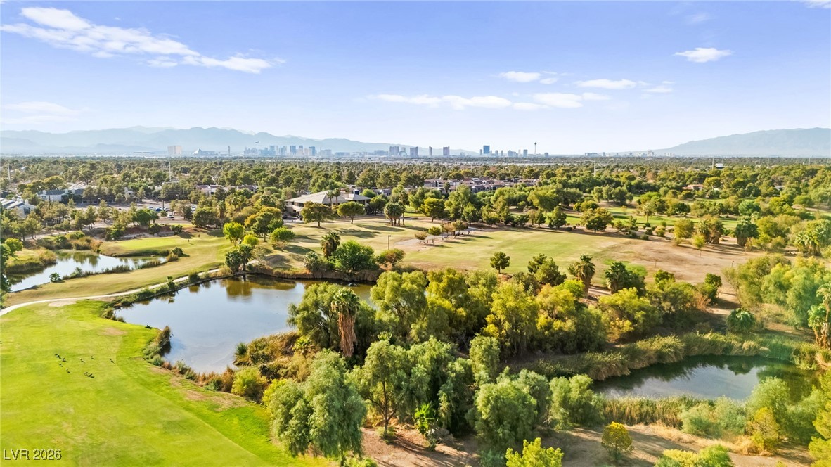 409 Indigo Springs Street Henderson NV 89014