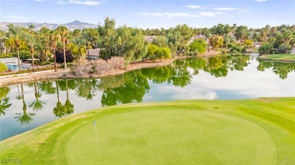 409 Indigo Springs Street Henderson NV 89014