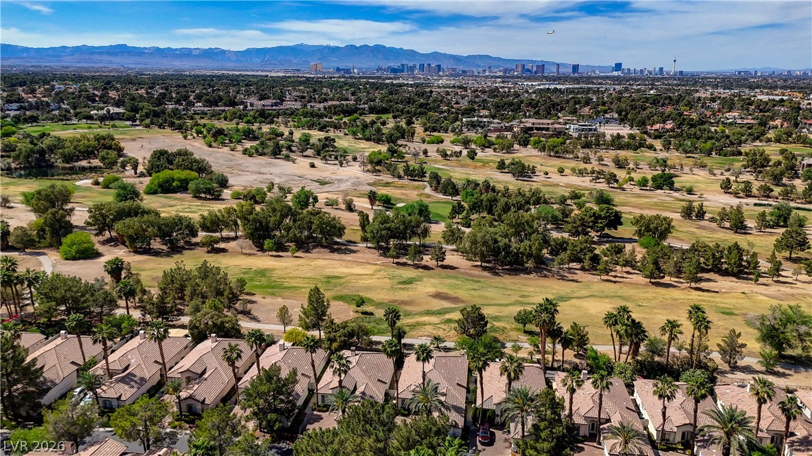 457 Indigo Springs Street Henderson NV 89014