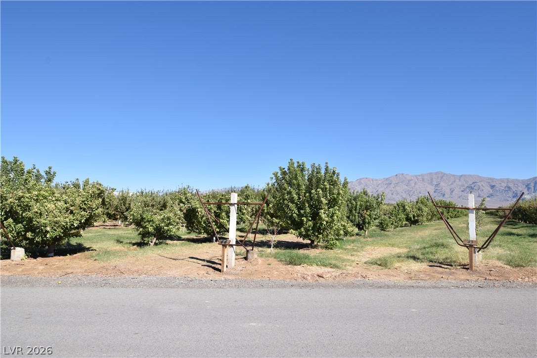 7013 Mercurio Avenue Las Vegas NV 89131