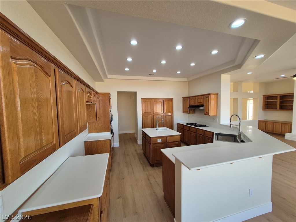 2504 Blairsden Street Las Vegas NV 89134