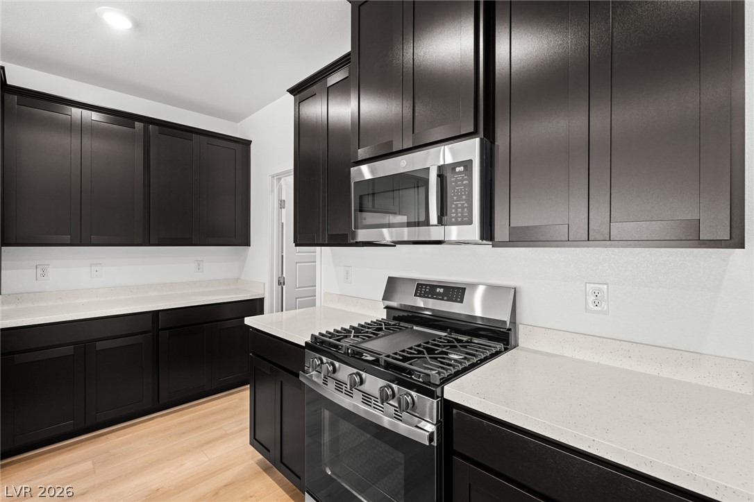 1417 Bianca Falls Drive Henderson NV 89011