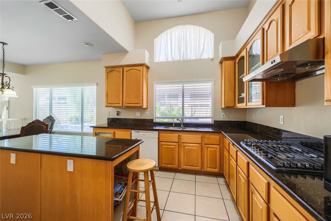 1717 Double Arrow Place Las Vegas NV 89128