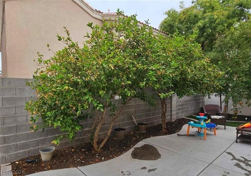 5901 Aimless Street Henderson NV 89011