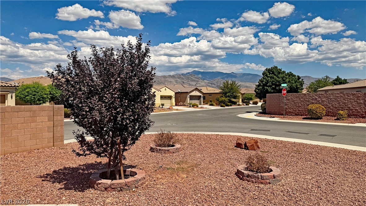 4862 South Adriano Way Pahrump NV 89061