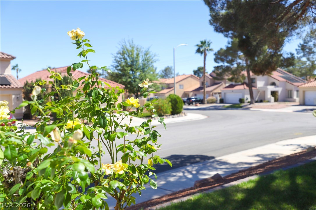 133 Coventry Circle Henderson NV 89074