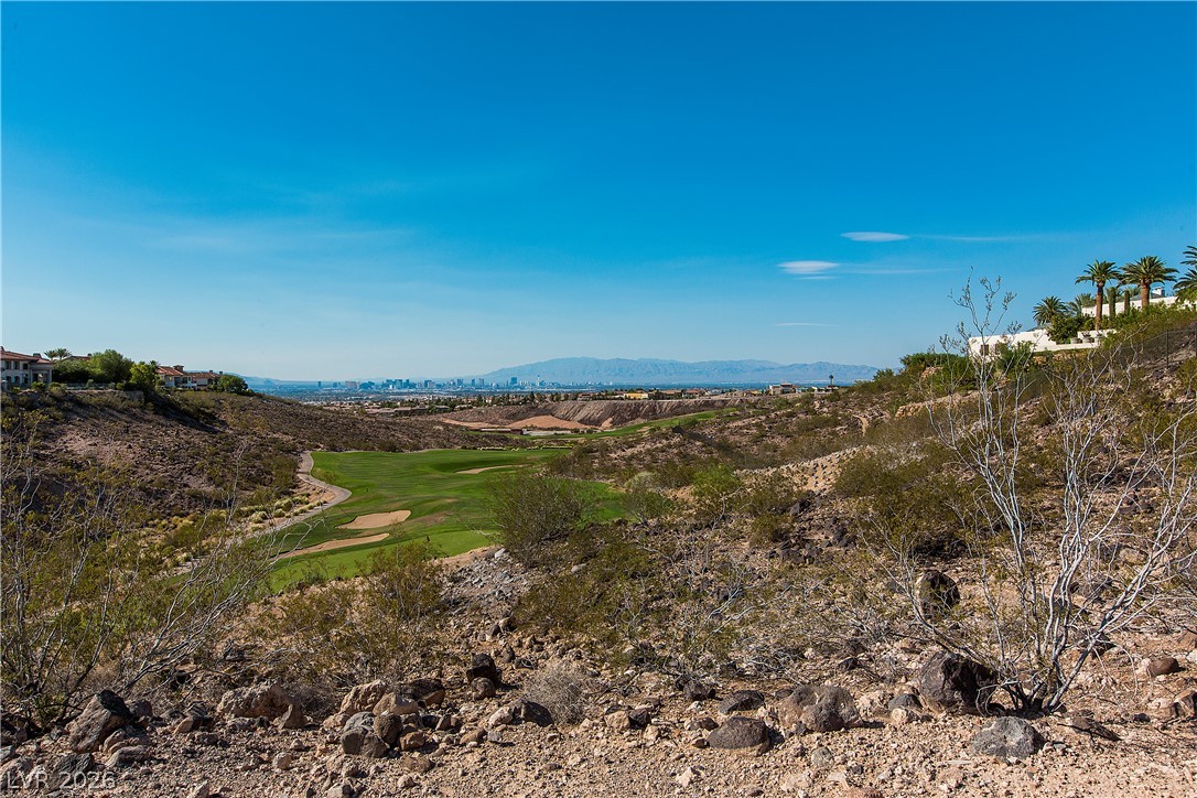 1529 Via Salaria Court Henderson NV 89052