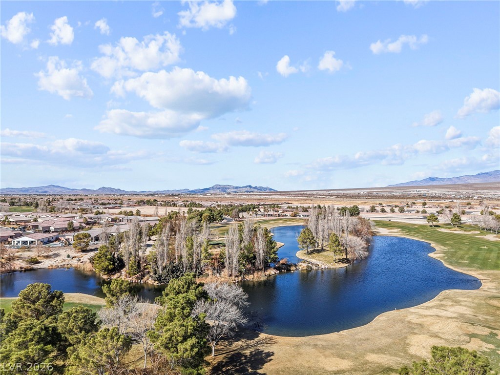 4761 Leone Avenue Pahrump NV 89061