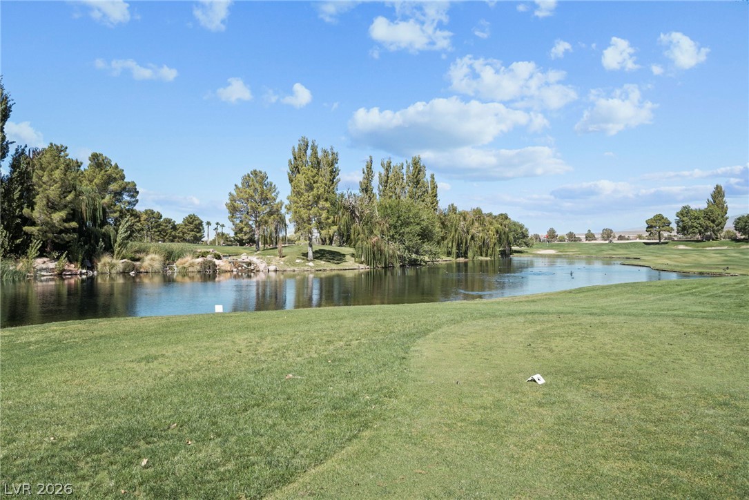 4761 Leone Avenue Pahrump NV 89061