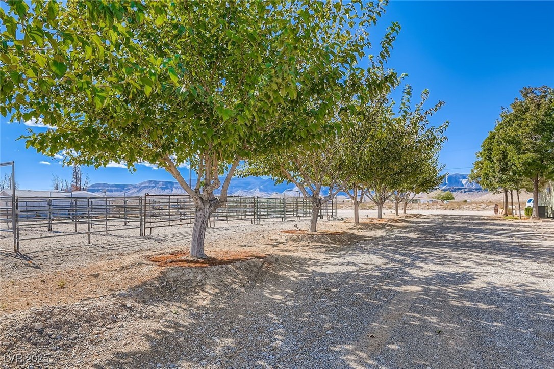 12992 State Hwy 160 Road Las Vegas NV 89161