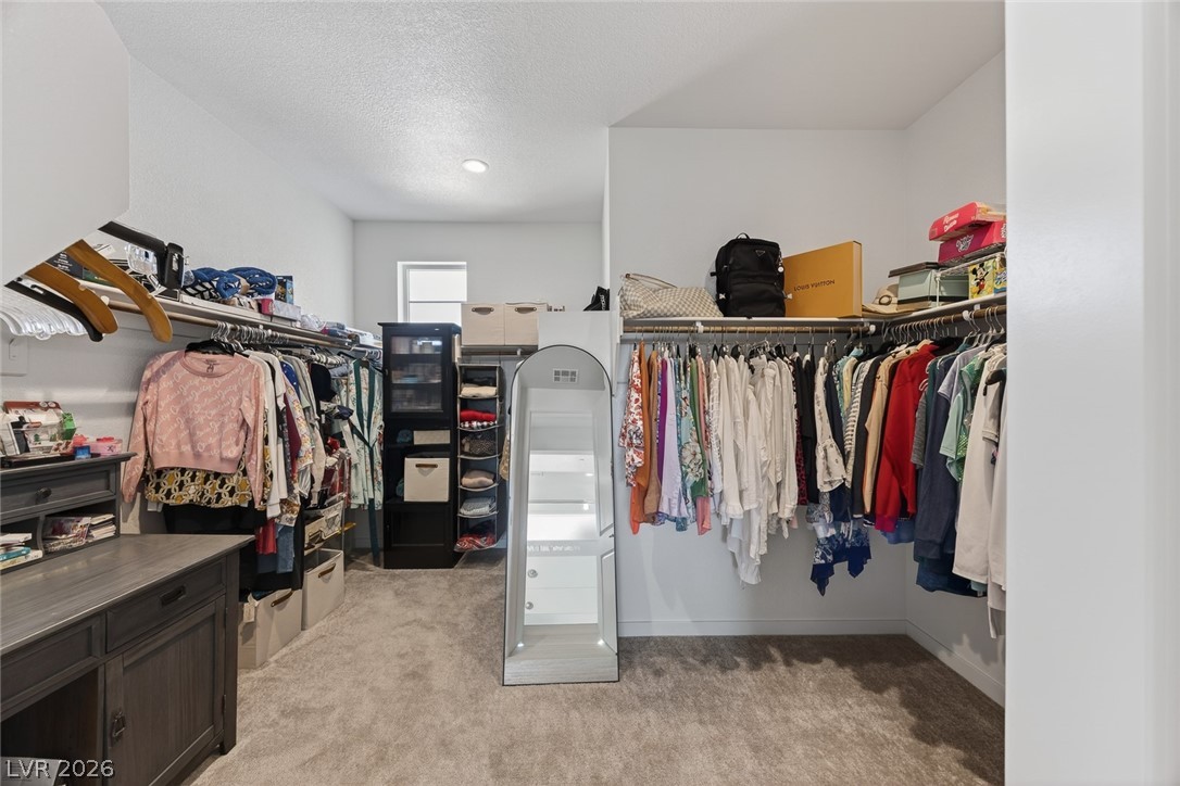 10441 Terra Landings Avenue Las Vegas NV 89166