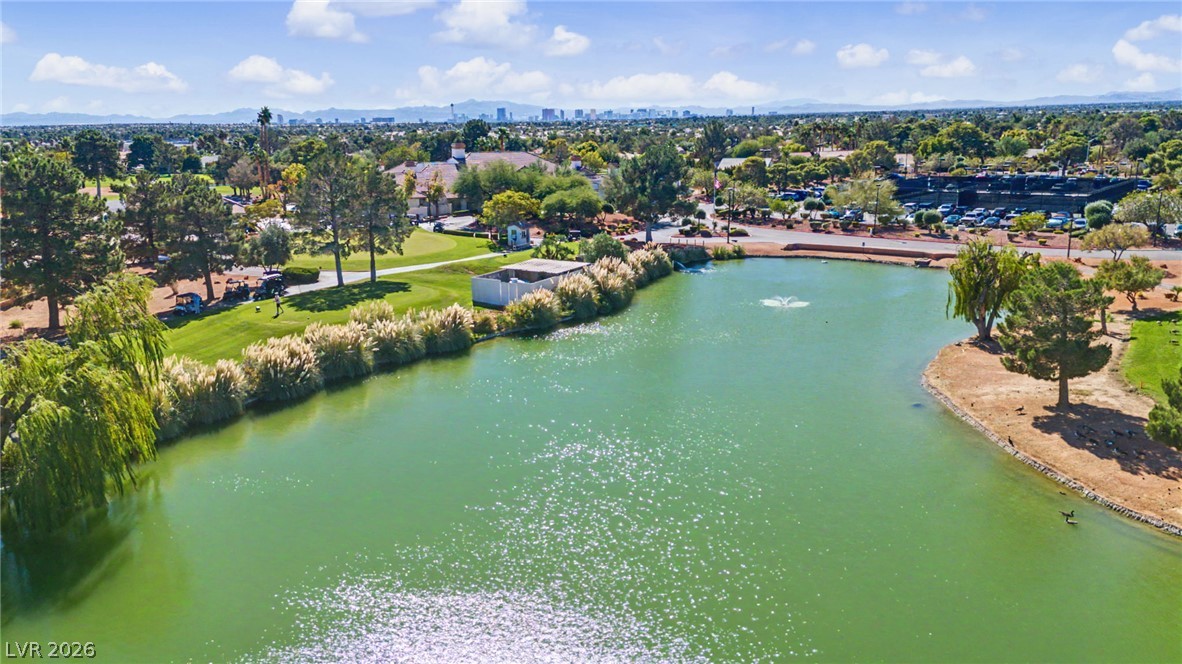 5004 Desert Fir Drive Las Vegas NV 89130