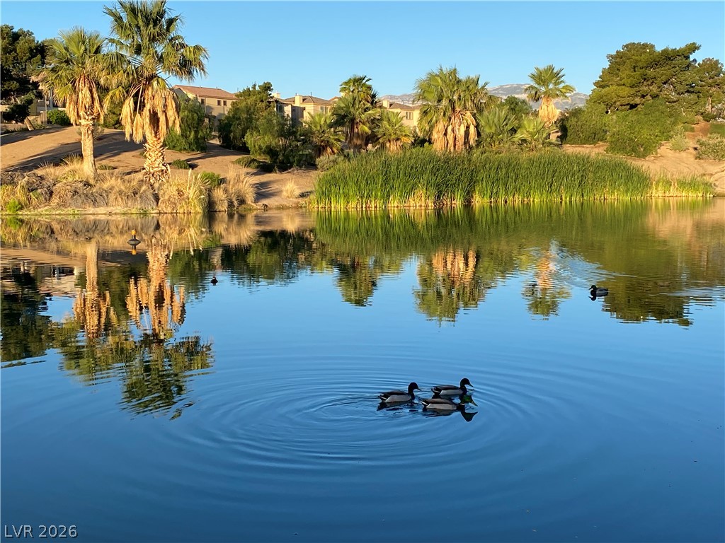 386 Apple River Court Las Vegas NV 89148